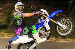 2013 Yamaha WR450F－450耐力爬雞