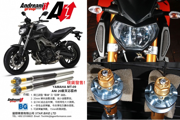 Andreani YAMAHA MT-09 ANI 20前叉芯套件 - 現貨發售中