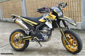 激改石屎森林戰車示範 - YAMAHA WR250X