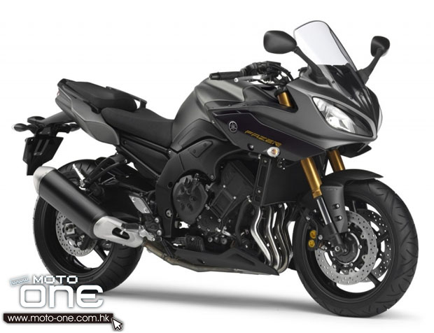 2013 YAMAHA FZ8 SPORT