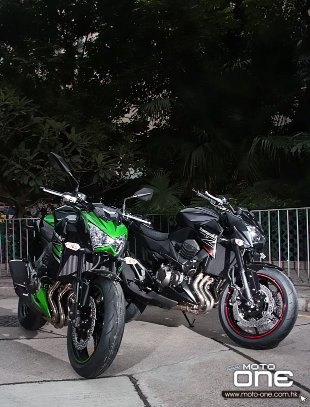 2013 kawasaki z800