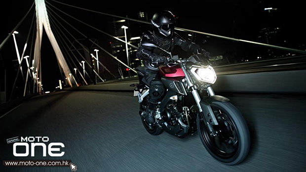 2014 Yamaha MT125