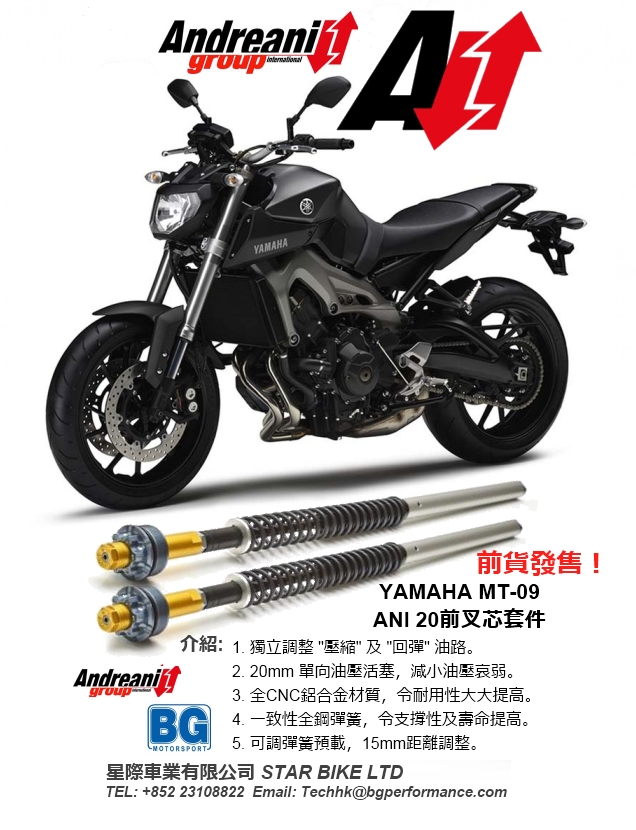 2014 Andreani YAMAHA MT-09 ANI 20 FORK