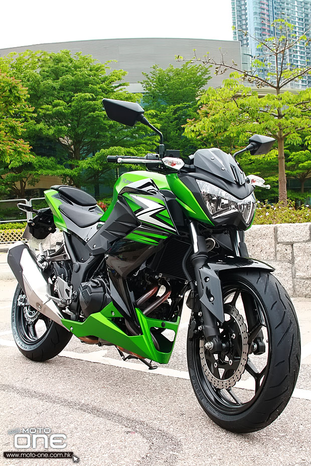 2014 KAWASAKI Z250