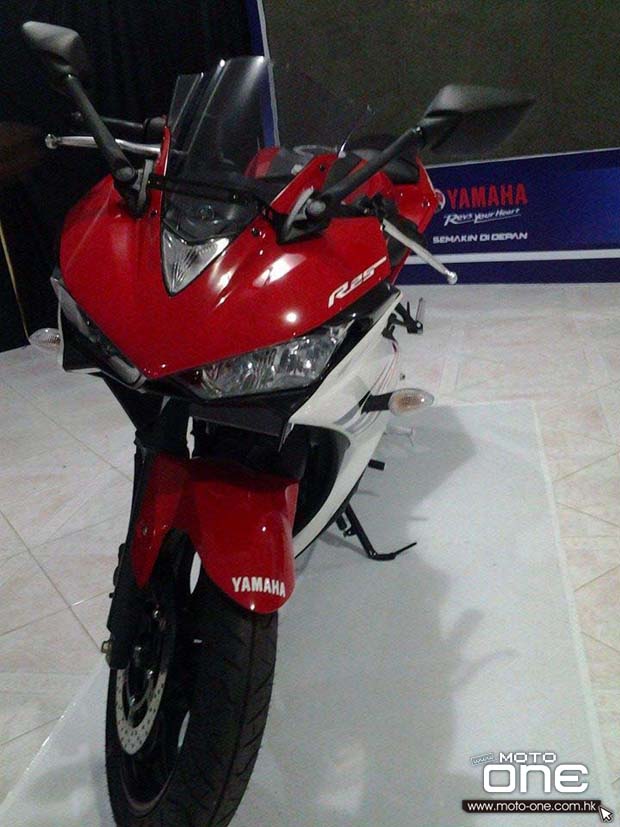 2015 Yamaha YZF R25