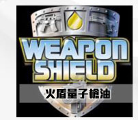 STEEL SHEILD REPORT