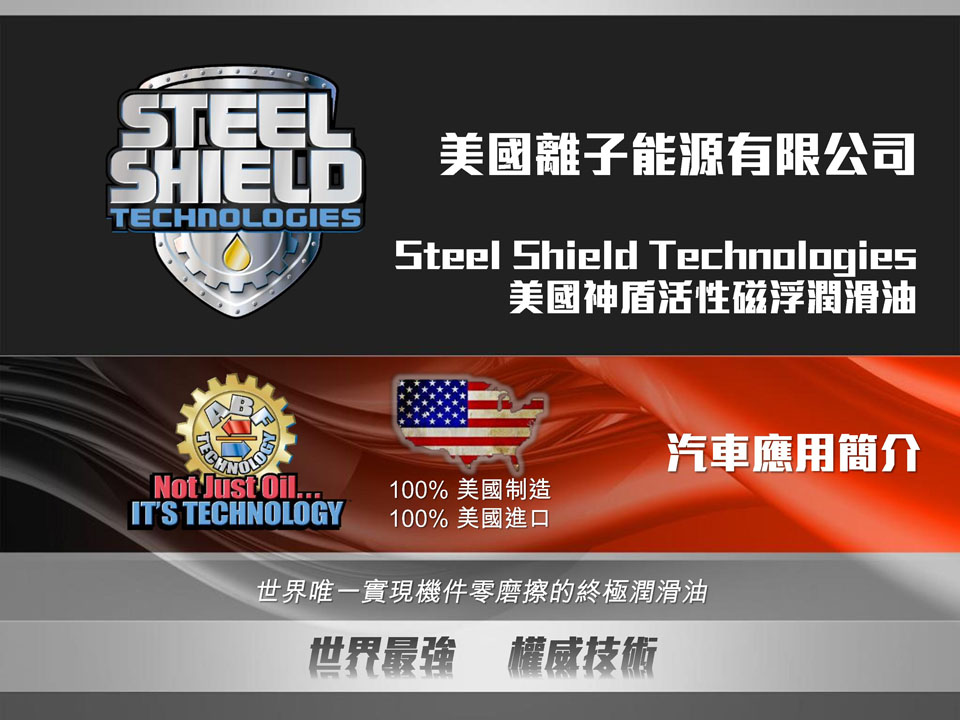 STEEL SHEILD REPORT
