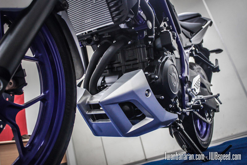 2015 YAMAHA mt-25