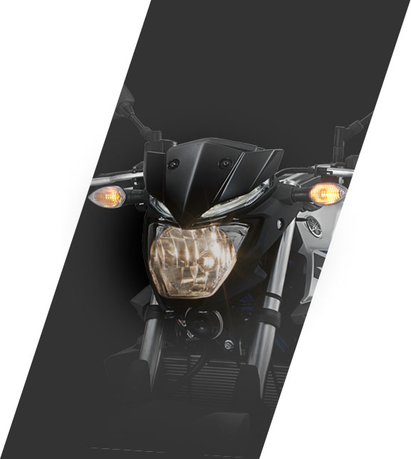 2015 yamaha mt-25