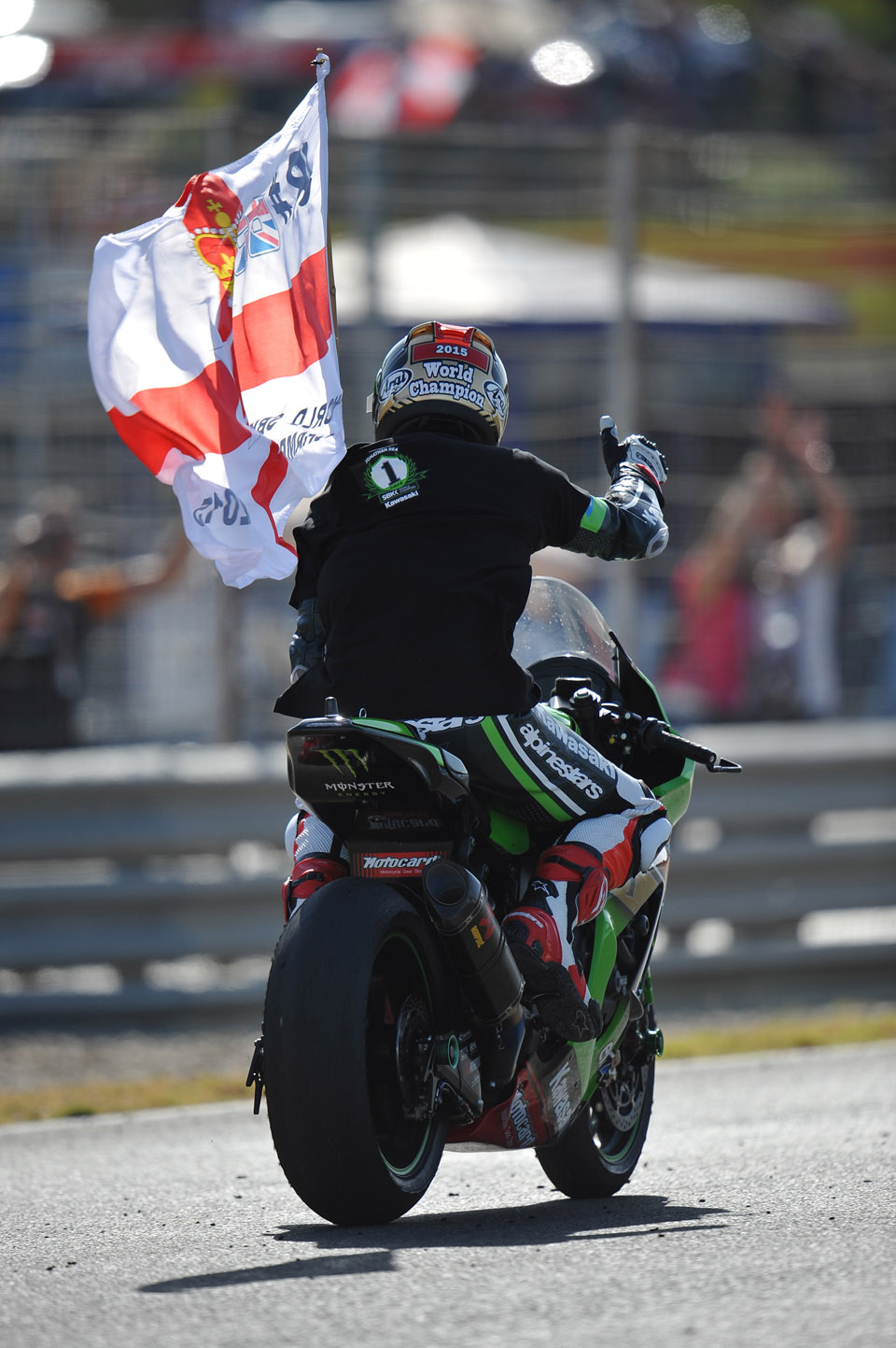 2015 wsbk kawasaki R11 Jerez Rea