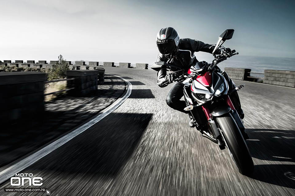 2016 KAWASAKI Z1000 Sugomi Edition