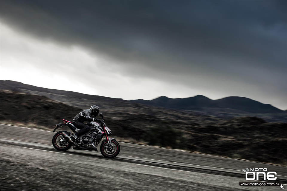 2016 KAWASAKI Z1000 Sugomi Edition