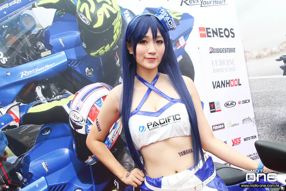 2016 Yamaha Force Tricity