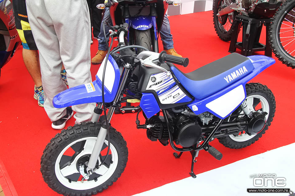 2016 Yamaha Force Tricity