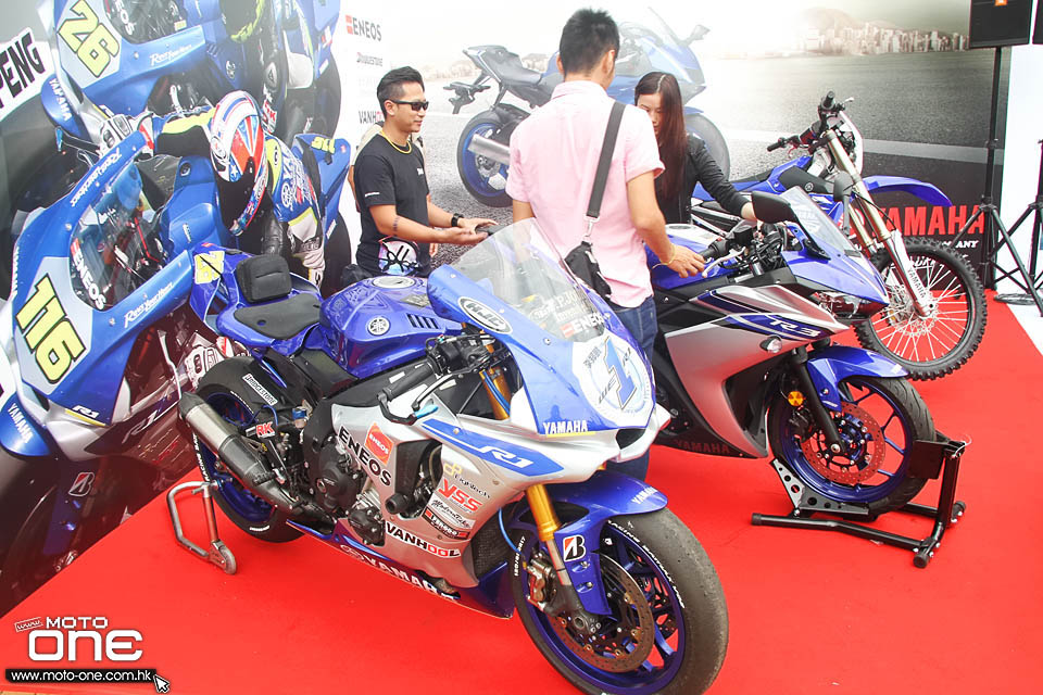 2016 Yamaha Force Tricity