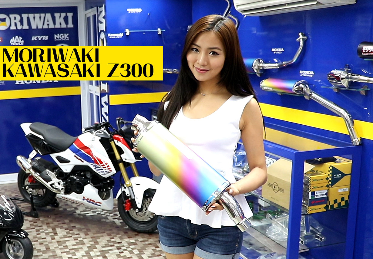 MORIWAKI Z300