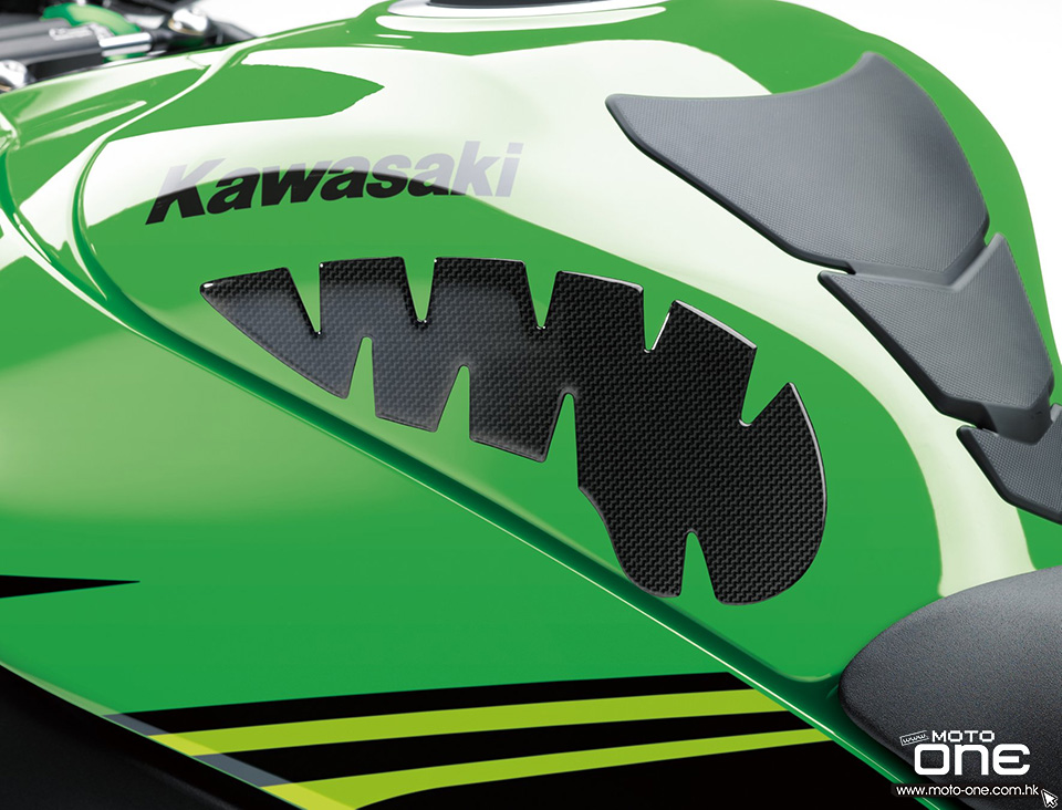 2019 kawasaki zx-10rr