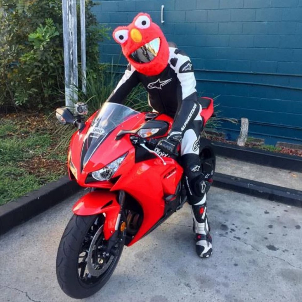 2019 Elmo