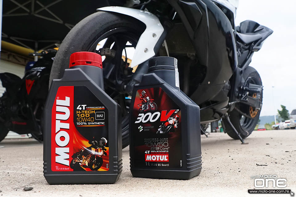 2019 MOTUL REPORT