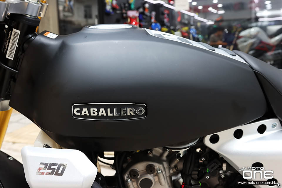 2020 FANTIC CABALLERO FLAT TRACK 250