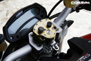 2010 Ducati - Monster1100 (CORSA)